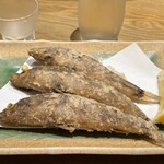 サカナズキ。 - 