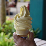 Dole Plantation - 
