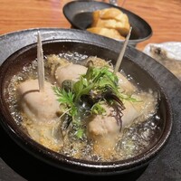 Potoro - 