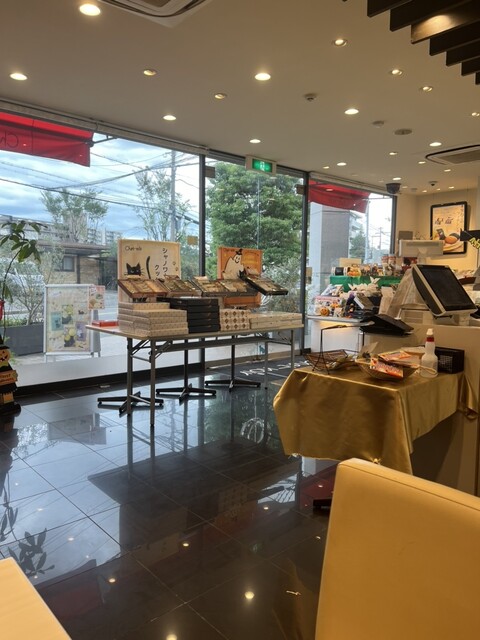 Chat noir Turumi Ryokuchi Ten photo 4