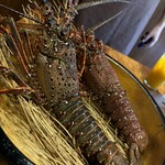 神楽坂 鉄板焼 向日葵 - 