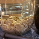 中国薬膳料理 星福 - タツノオトシゴ酒