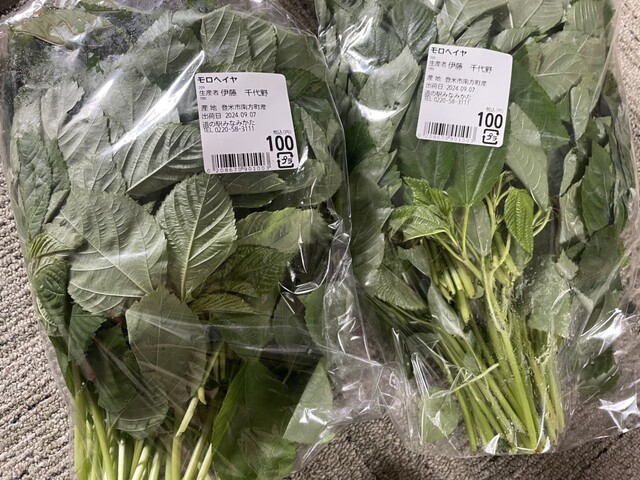 道の駅みなみかた もっこりの里 - 登米市その他（道の駅）の写真