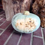 ほびーい喫茶店 - カボチャ