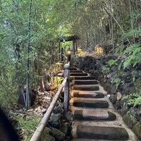九つ井 本店 - 
