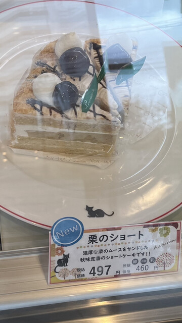 Chat noir Turumi Ryokuchi Ten