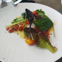 PIGNETO - 