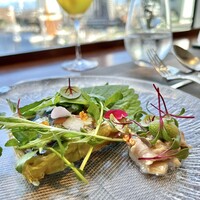 イリエスケープ - 