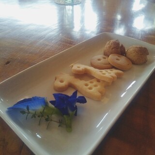 えほんとカフェ_1