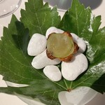 ムニ アラン デュカス - 