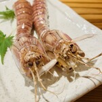 しんのすけ - 沖しゃこの塩ゆで