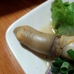 鳥ふみ - マテ貝　アップ(//∇//)