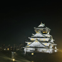 BLUE BIRDS ROOF TOP TERRACE - 