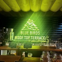 BLUE BIRDS ROOF TOP TERRACE - 