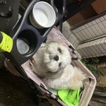 キッチンキクヤ - 