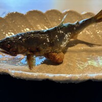 御料理ふじ居 - 