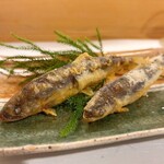 穴子料理と地酒 浅草 川井 - 