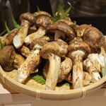 麦と麺助 - 松茸