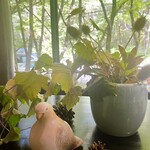 エルミタージュ ドゥ タムラ - 