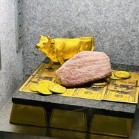 VinIX - メイン
                    ･自家熟成黒毛和牛塊肉80g　ソース・マデイラ