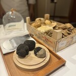 JINBO MINAMI AOYAMA - 