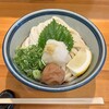 堺うどん ちはや