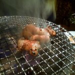 焼肉×もつ鍋 二子玉川 蔵月 - マルチョウを焼いております