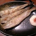 わたみん家 - こまいの炙り焼き。酒の肴にはうってつけ！