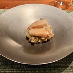 蒼 - 噴火湾の毛蟹のリゾット