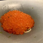 蒼 - 新いくらの冷製フェデリーニ