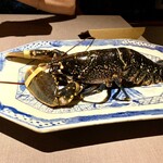 茶禅華 - オマール・ブルー