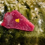 鮨桂太 - 鰹（辛子・塩）