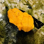 鮨桂太 - 赤ウニ