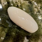 鮨桂太 - 新イカ