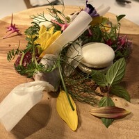 イタリアン オット - 