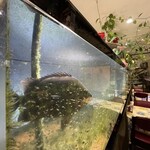 お食事処 美里 - 