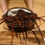 温石 - 伊勢海老