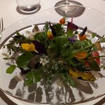 レフェルヴェソンス - 