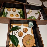 レフェルヴェソンス - 