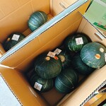 稲敷市生産物直売施設 いなのすけ市場 - 料理写真:外観
