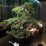 銀座 kappou ukai 肉匠 - 