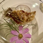 イタリアンレストラン Zucca - 