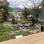 Chateraise PREMIUM YATSUDOKI - 