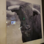 Wolfgang's Steakhouse by Wolfgang Zwiener - 壁の牛