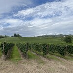 カンパーナ六花亭 - 