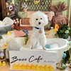 バズカフェ バイ アネラ - 