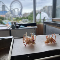 熊魚菴 たん熊北店 東京ドームホテル店 - 