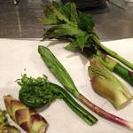 居酒屋　こいさん - 山菜は店主自ら山で採取します。