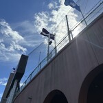 ラーメンの店 ホープ軒 - 