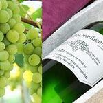 チーズ料理×ワインブッフェ シャンブレ - 